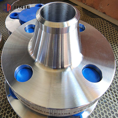 316L Flanges