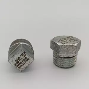 Forged Plug