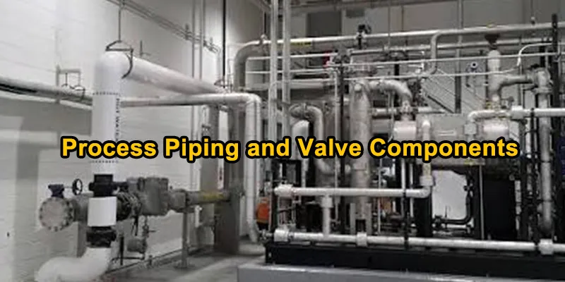 Process Piping and Valve Components.webp